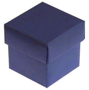 The Blue Box 33